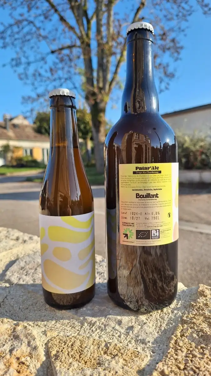 Chacun son Chenin - Grape Ale Chenin – 6,4°